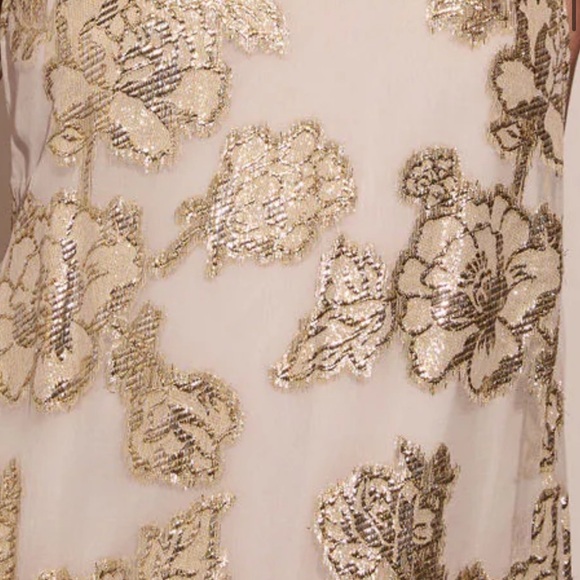 Vici gold maxi dress - Picture 2 of 6